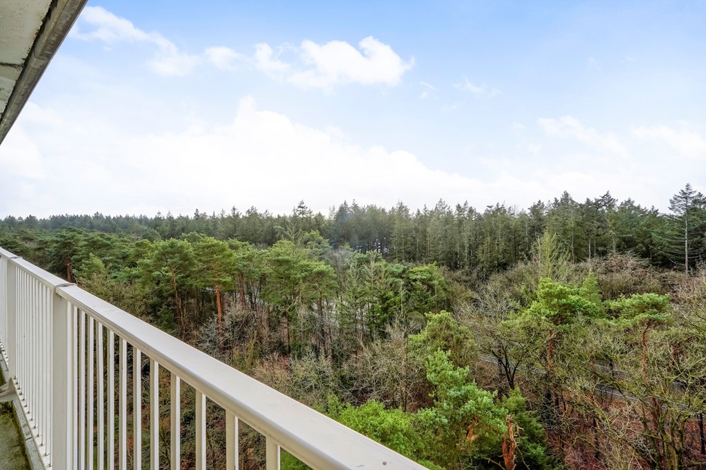 Anna Paulownalaan 172_19.jpg